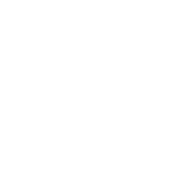 国内专家