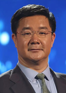 洪向华